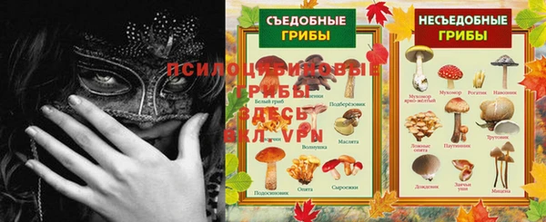 крисы Алексеевка