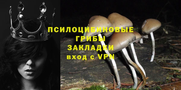 тгк Абаза