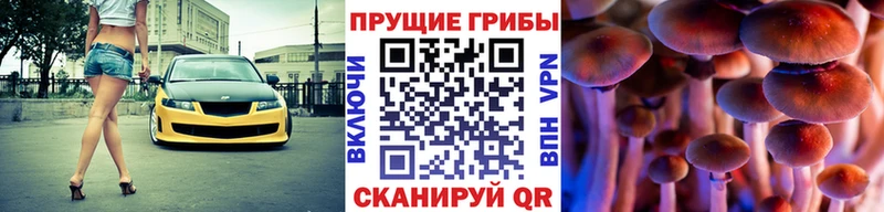 omg ССЫЛКА  Берёзовка  Псилоцибиновые грибы Cubensis 