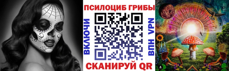 Галлюциногенные грибы прущие грибы Берёзовка