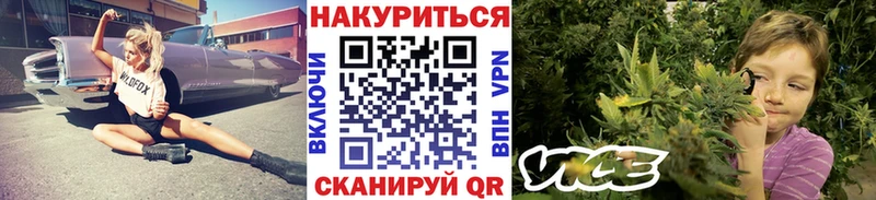 Каннабис Ganja Берёзовка